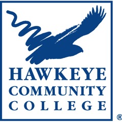 Hawkeye-Primary-Logo-Pantone-294